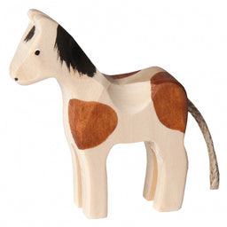 Trauffer 1117 Pinto Fohlen