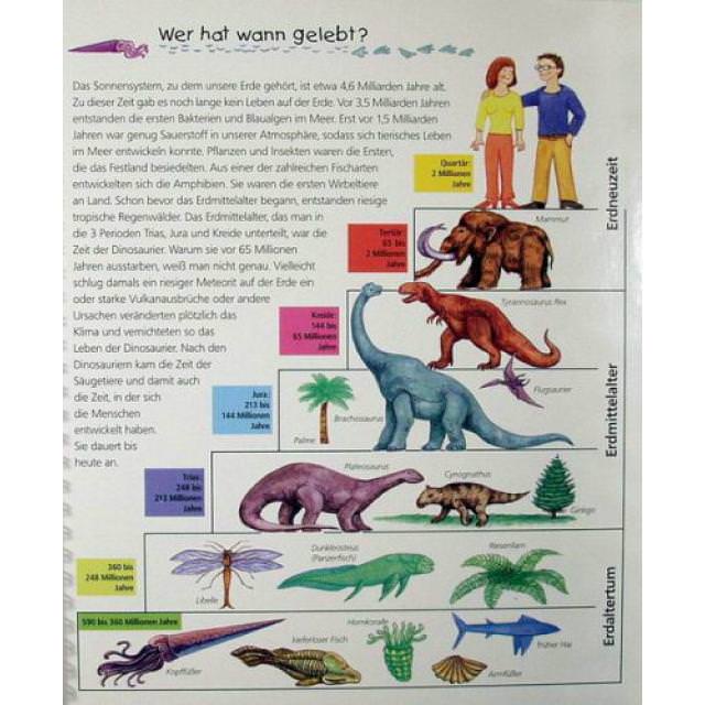 WWW Alles über Dinosaurier - Bild 2