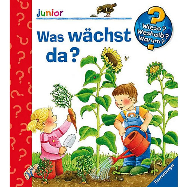 WWW Junior Band 22 - Was wächst da? - Bild 1
