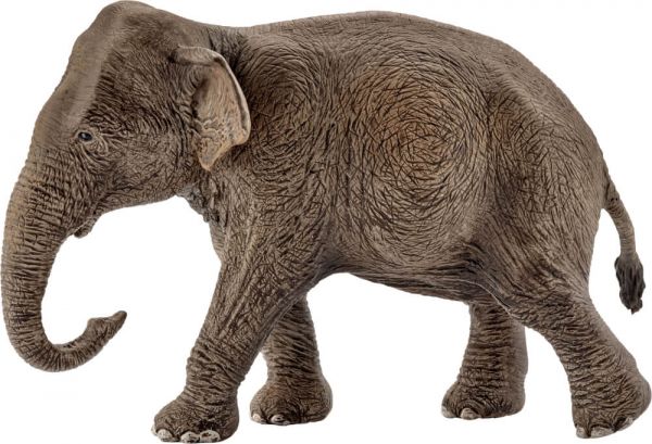 Schleich Asiatische Elefantenkuh 14753