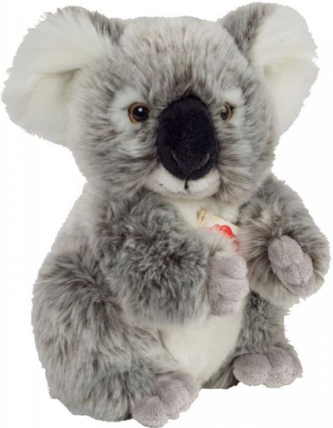 Teddy Koalabär 21cm