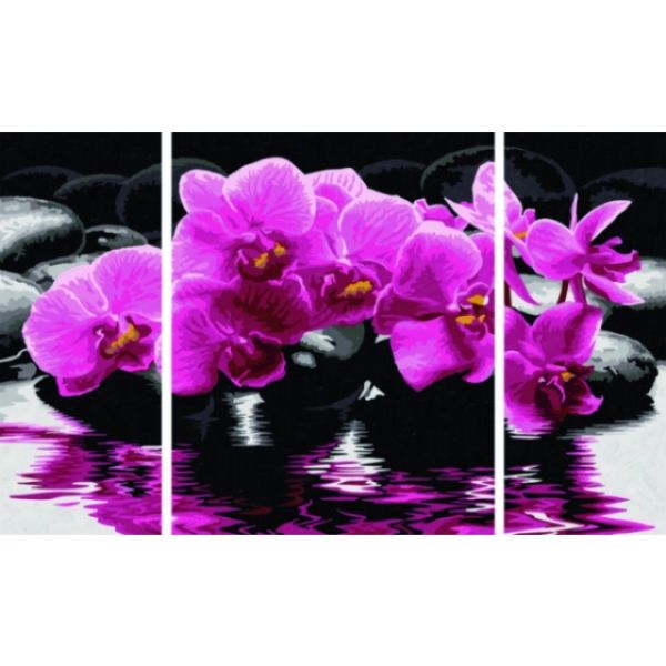 Schipper Orchideen 3 Bilder
