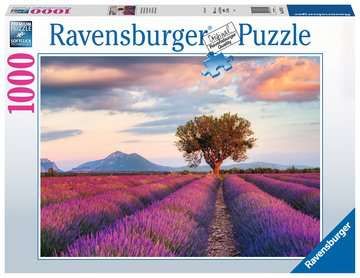 Puzzle 1000 Teile Lavendelfeld in der goldenen Stunde 16.724