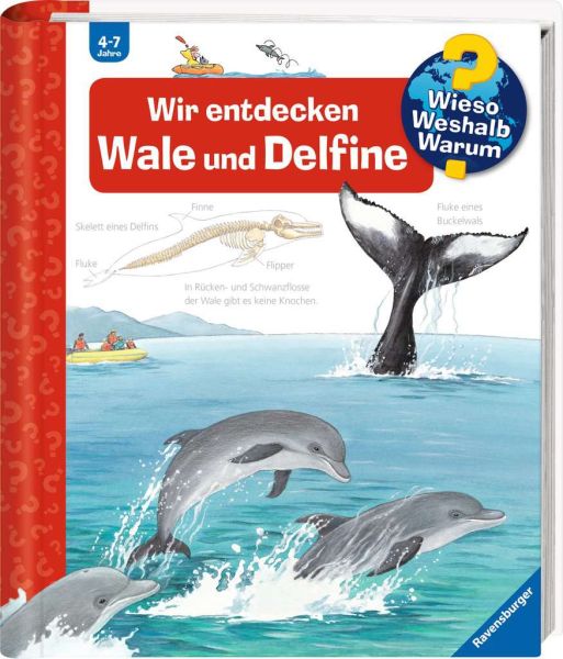 WWW Band 41 - Wir entdecken Wale und Delfine 32.775