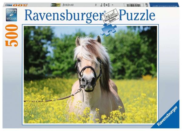 Puzzle 500 Teile Pferd im Rapsfeld 15.038