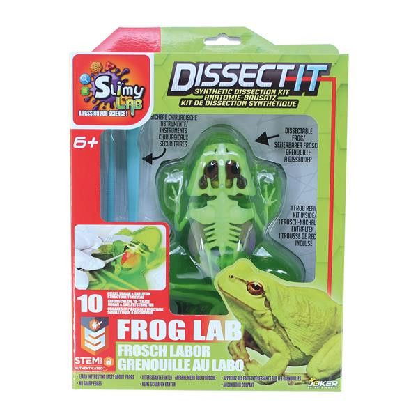 Slimy Lab Dissect-it Frosch