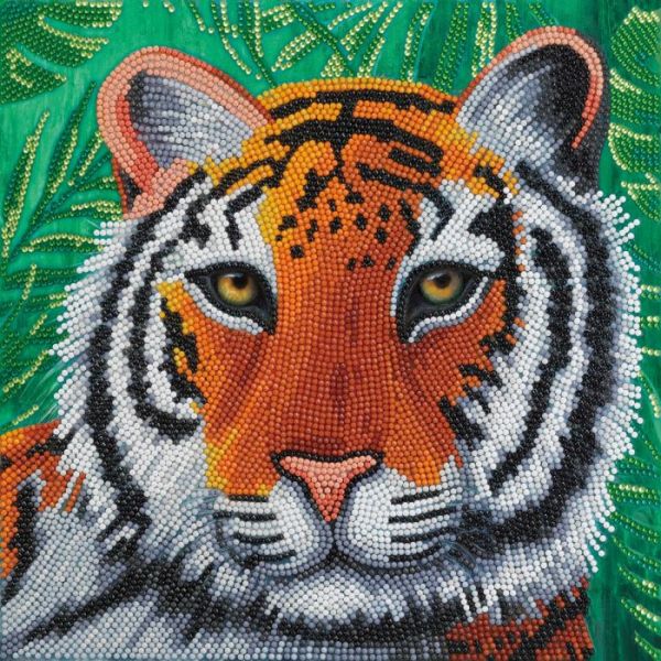 Crystal Art Leinwandbild Tiger 30x30 cm
