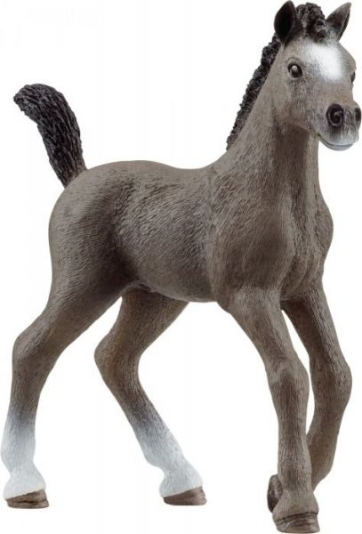 Schleich Horse Club Cheval de Selle Francais Fohlen 13957