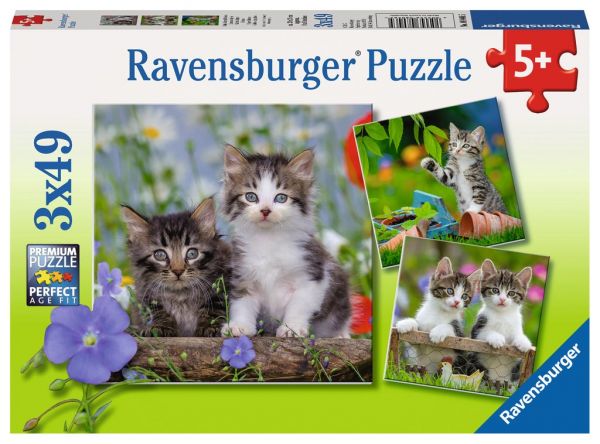 Ravensburger Puzzle 3x49 : Süsse Samtpfötchen 08.046